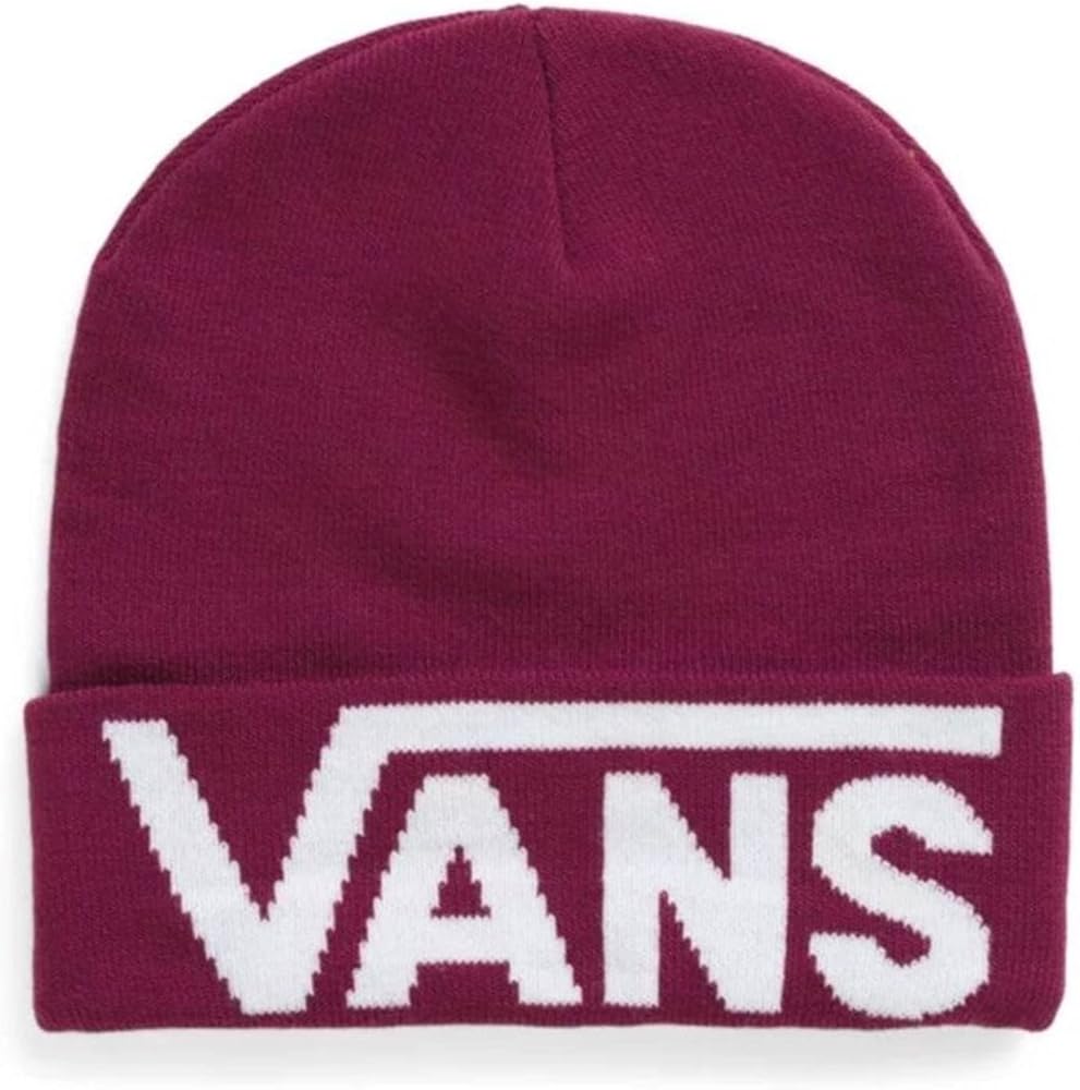 Vans Men's Streetwear
